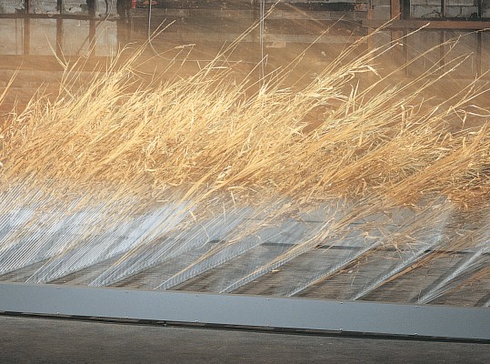 camouflage 2, 1998