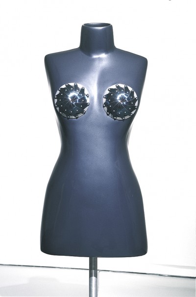iris, 2001