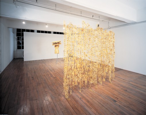 camouflage 1, 1998