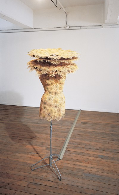 camouflage 1, 1998
