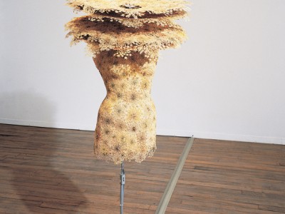 camouflage 1, 1998
