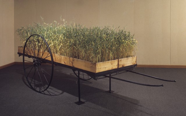 life units, 1993