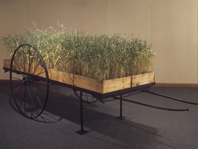 life units, 1993